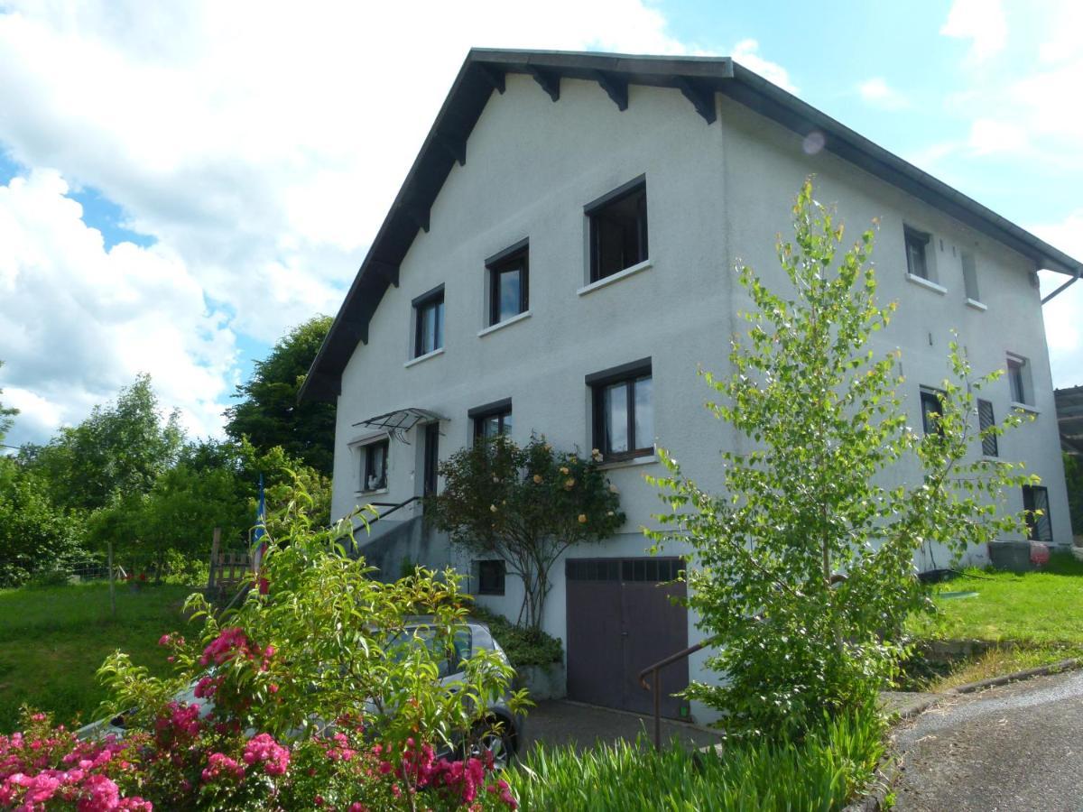 Villa Detente Dauphinoise Saint-Andre-le-Gaz Экстерьер фото