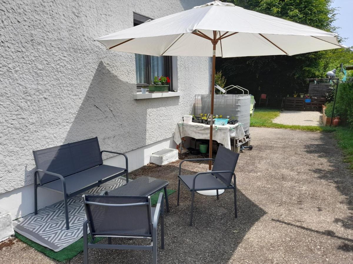 Villa Detente Dauphinoise Saint-Andre-le-Gaz Экстерьер фото